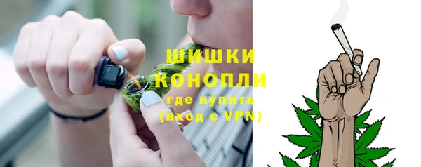 спайс Арсеньев