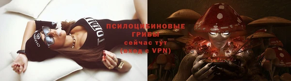 молекула духа Армянск