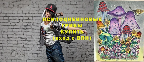 молекула духа Армянск