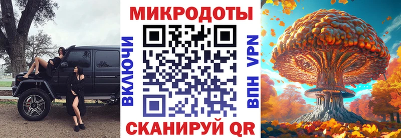 где купить наркоту  Старица  Псилоцибиновые грибы Psilocybine cubensis 
